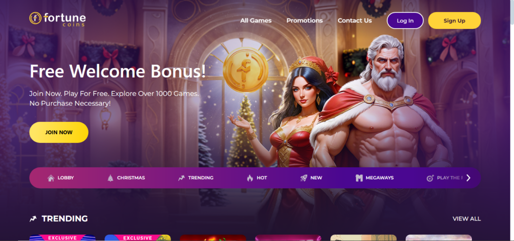 What is Fortune Coins Casino?