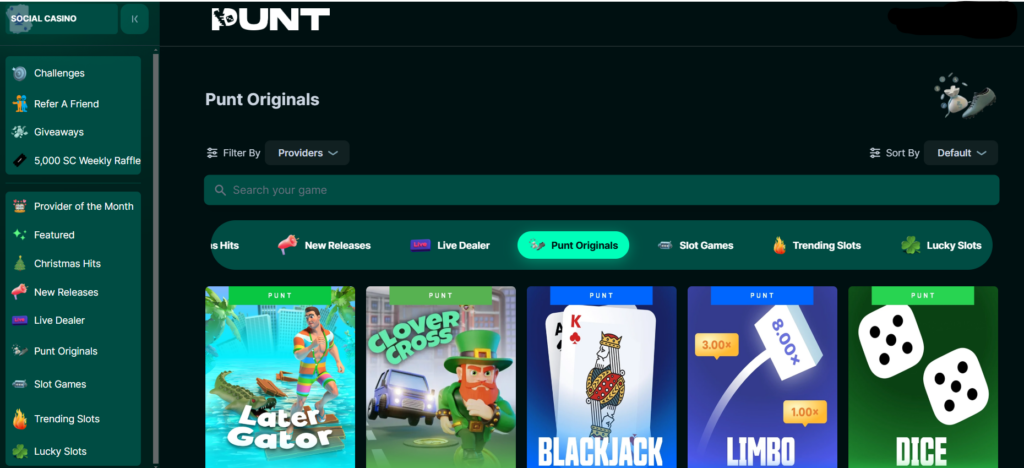Punt Casino user experience